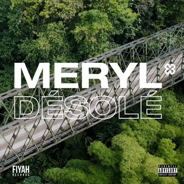 Pochette de Désolé