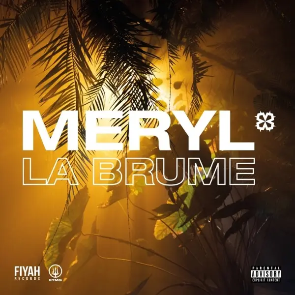Pochette de La brume