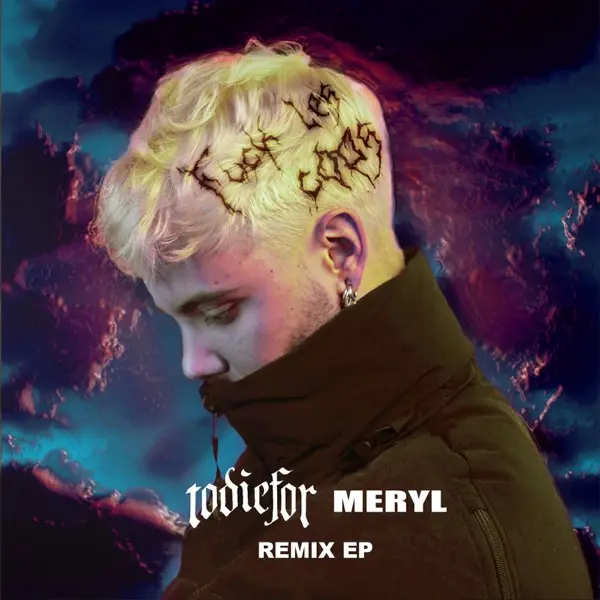 Pochette de Fuck les cops (Remix)
