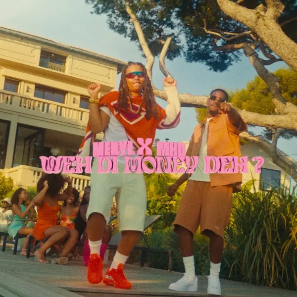 Pochette de WDMD