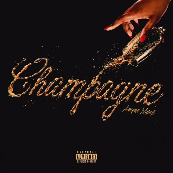 Pochette de Champagne
