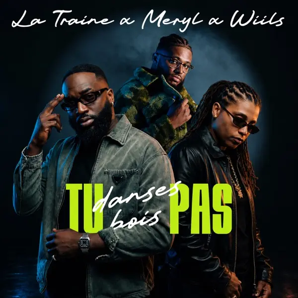 Pochette de Tu danses pas tu bois pas